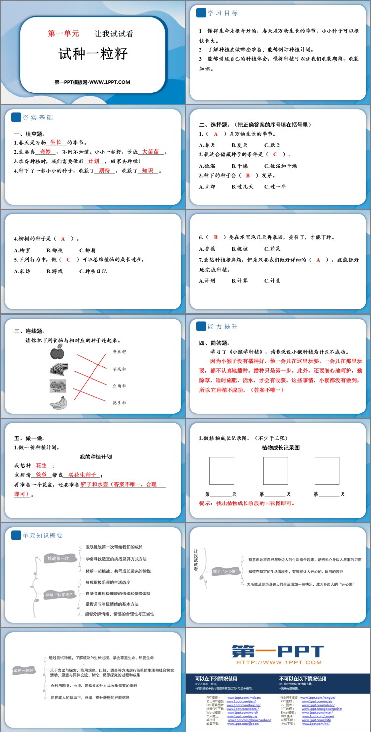 《试种一粒籽》教学PPT课件下载