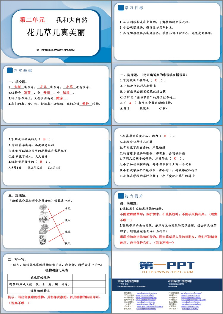 《花儿草儿真美丽》PPT课件教学资源下载