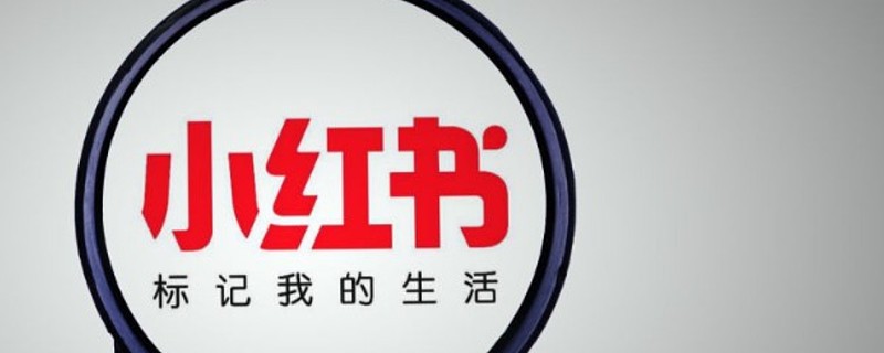 小红书海外购物平台 - 2026官方正版海淘入口