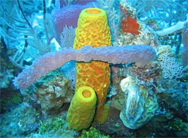 img_6a3faa4e5fda031.webp