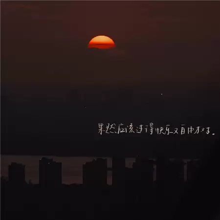 img_6a406645b7e0b30.webp