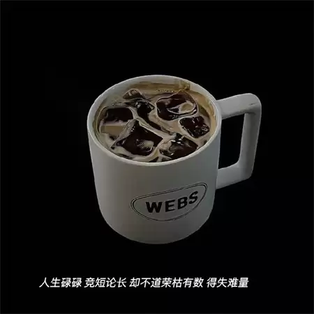 img_6a406b316fcac30.webp