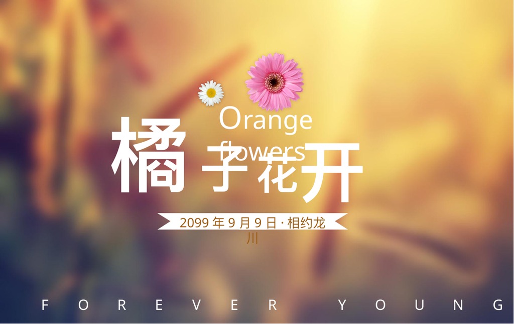 暖光橙子花开相册PPT模板