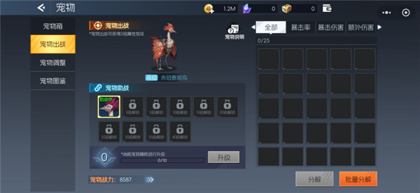 宠物养成截图2