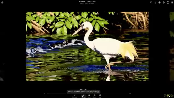 img_6a4472f10ff3932.webp