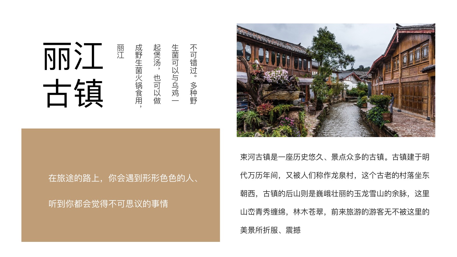 花灯丽江古镇旅游PPT模板