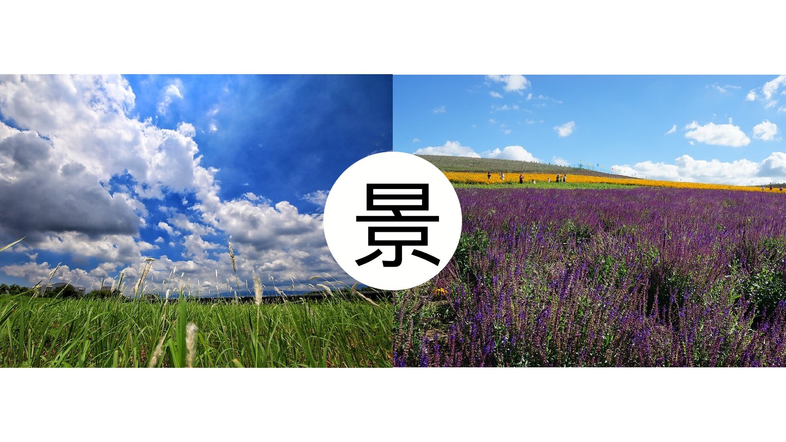 草原自然摄影画册PPT模板