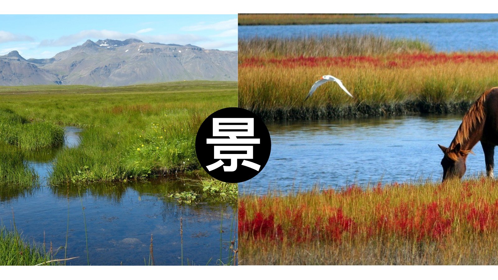 草原自然摄影画册PPT模板