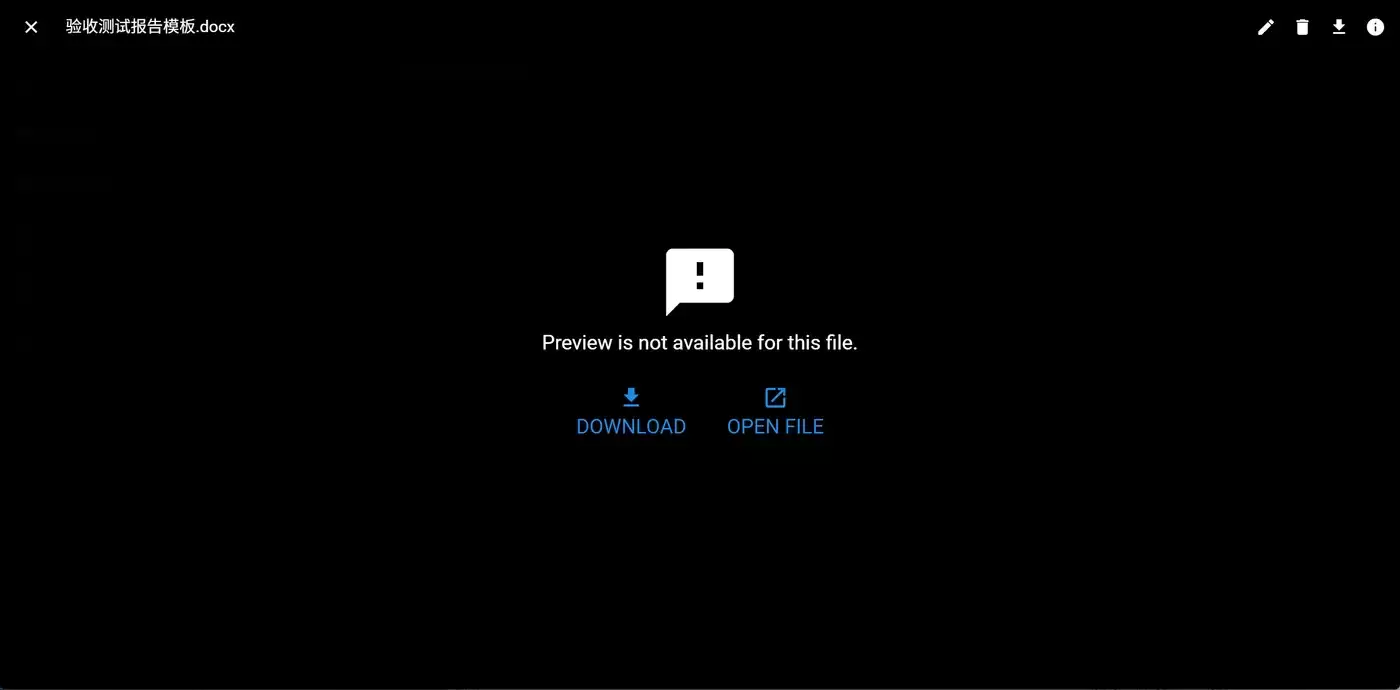 File Browser 文件预览：docx 不支持内嵌预览，提供下载与打开选项