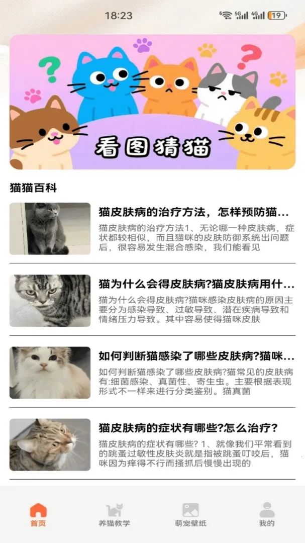 暖暖猫(猫咪养护应用)