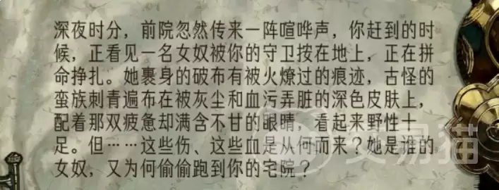 img_6a4884b6ae63032.webp