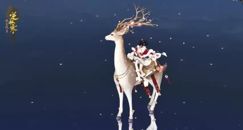 img_6a48a8ce8b30836.webp