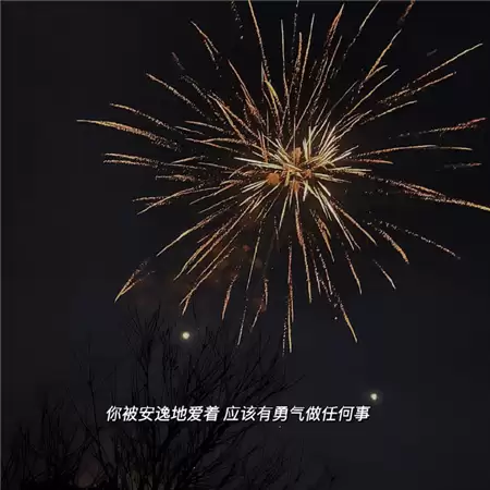 img_6a49b04c2b96032.webp