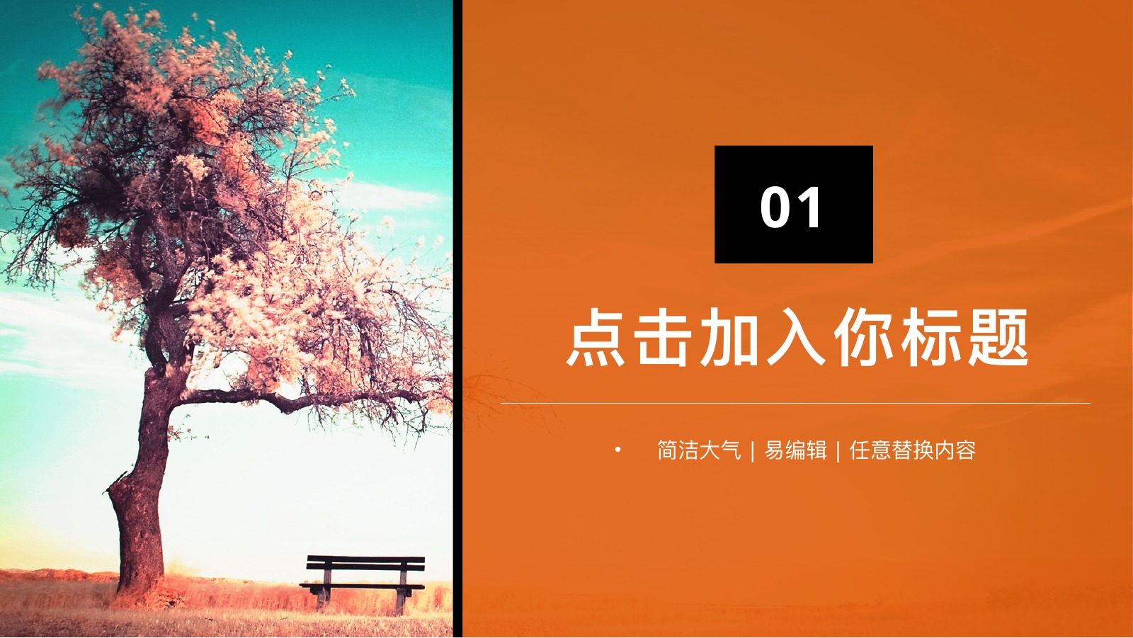 唯美户外旅游活动方案PPT模板