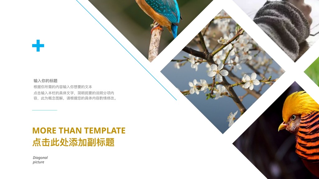 航空旅游商务工作汇报PPT模板
