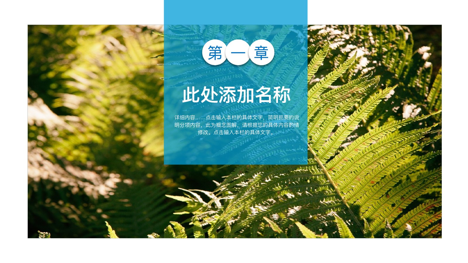 热带海滩休闲旅游PPT模板