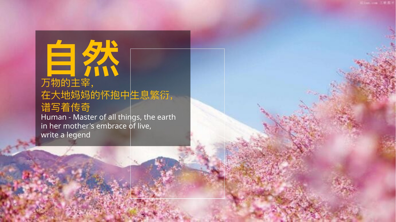 春天自然风光旅游PPT模板