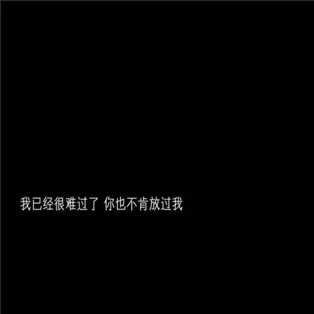 img_6a4b01099617031.webp