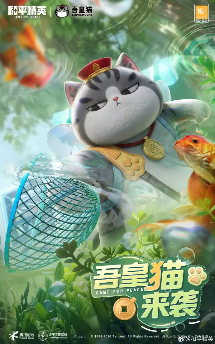 img_6a4b18f105a2732.webp