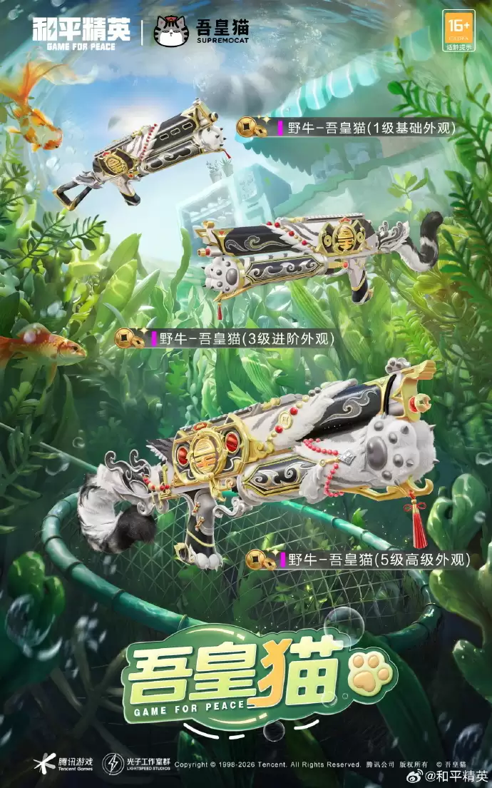 img_6a4b18f141dc334.webp