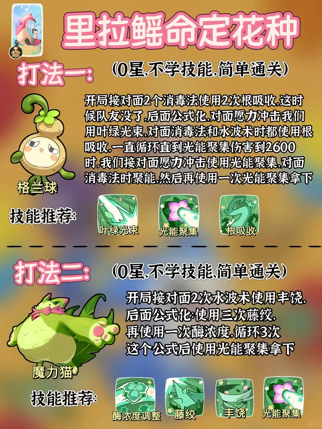 img_6a4b19393178d35.webp