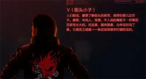 img_6a4b1ed39381233.webp