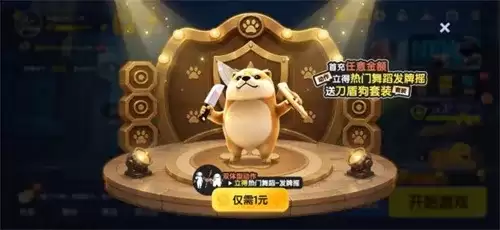img_6a4b37701e1e733.webp