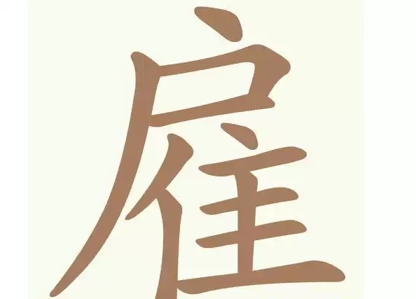img_6a4b3eb9b719e31.webp
