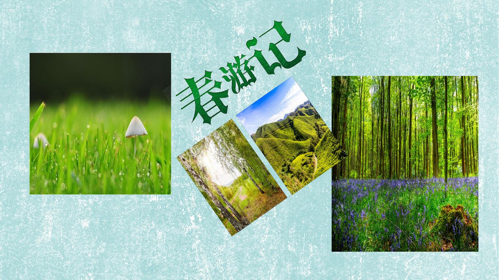 森林美游记照片相册PPT模板