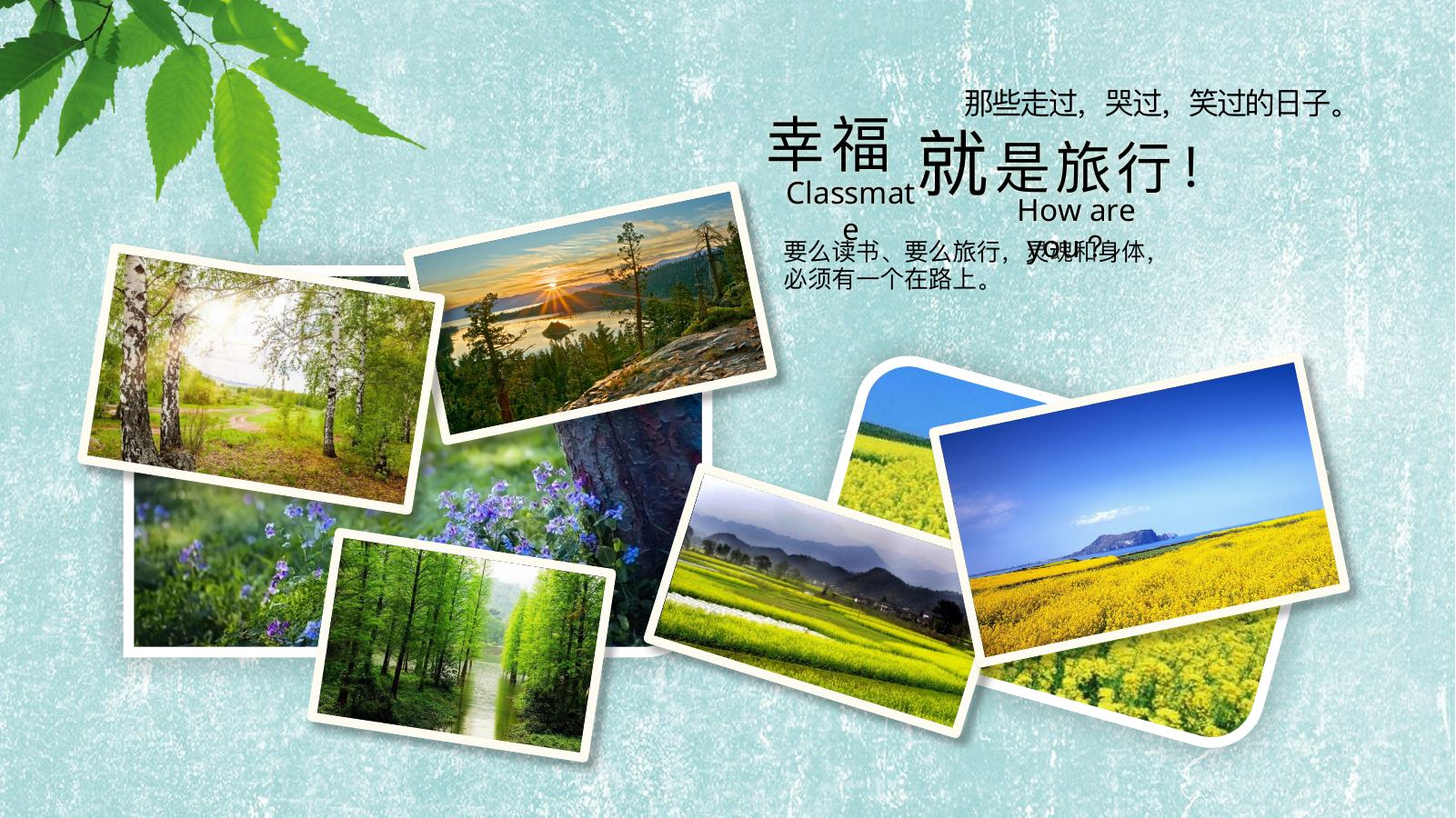 森林美游记照片相册PPT模板