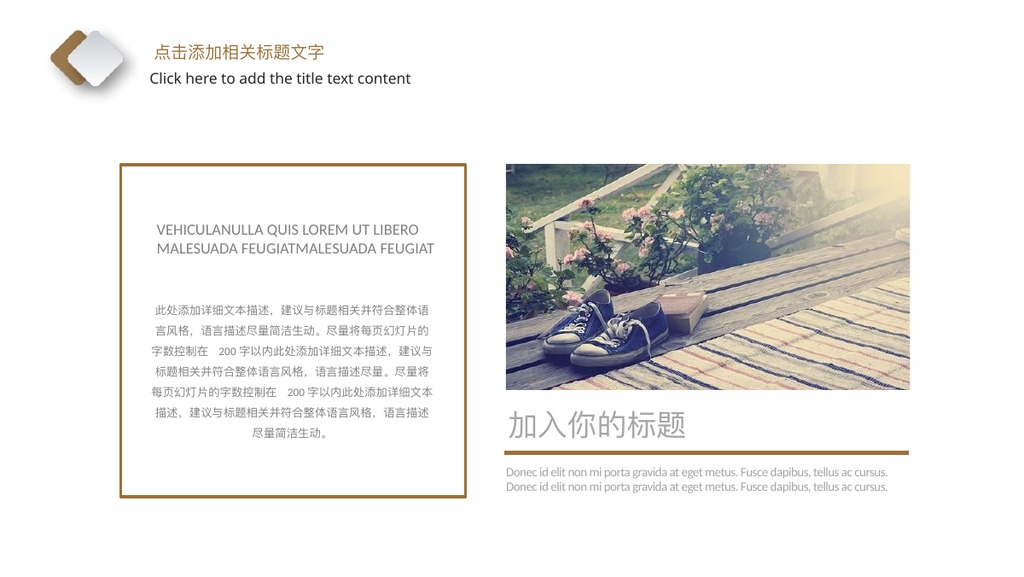 2019旅行项目介绍PPT模板