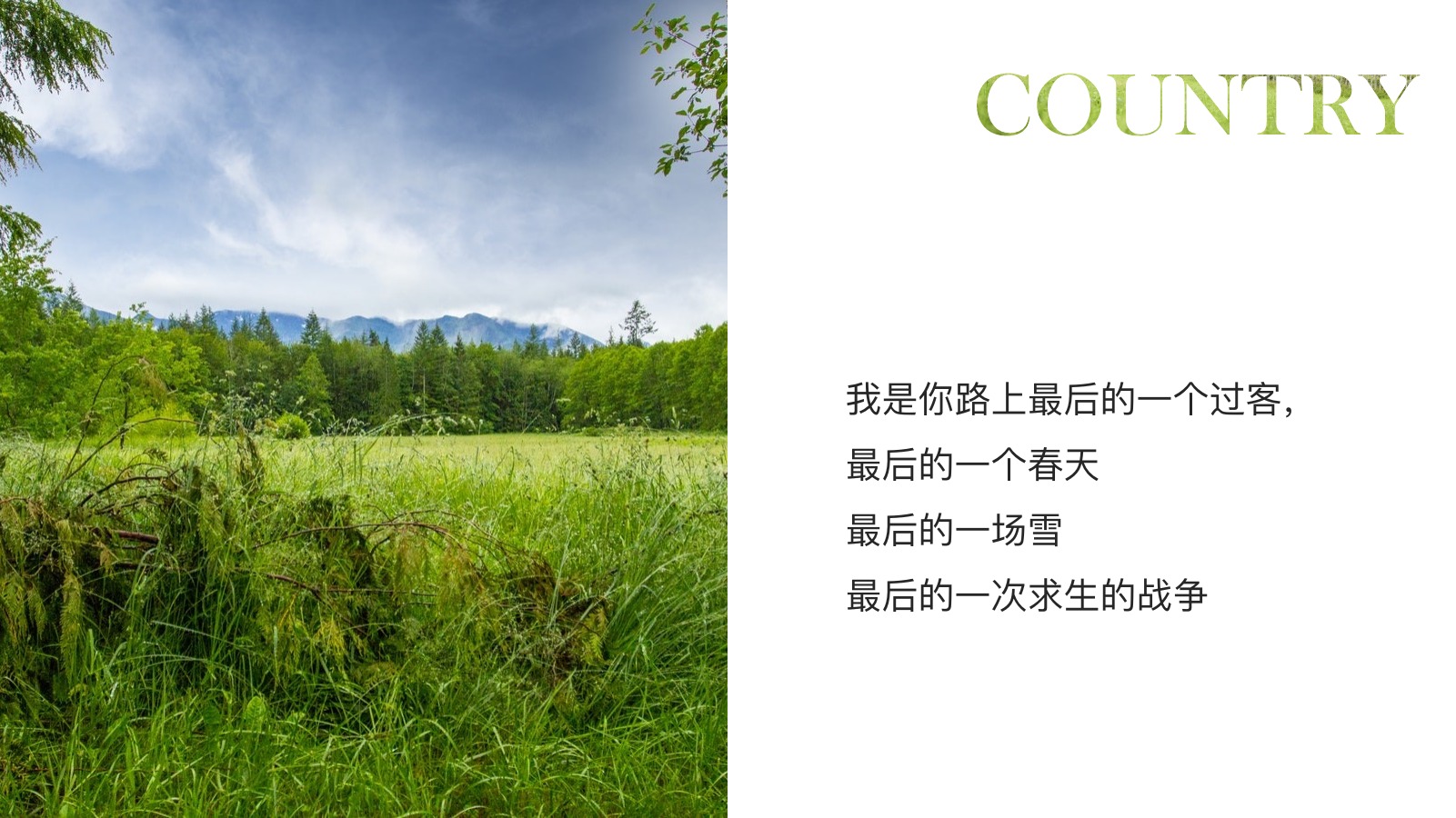 绿色乡村旅游风光PPT模板