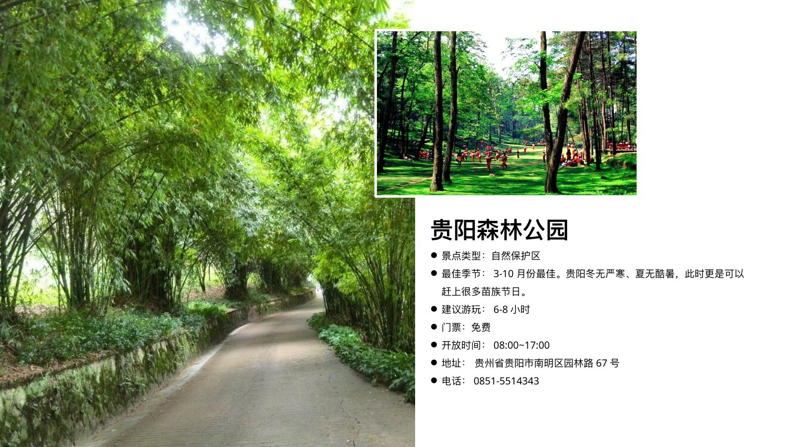贵州旅游印象生态风光PPT模板