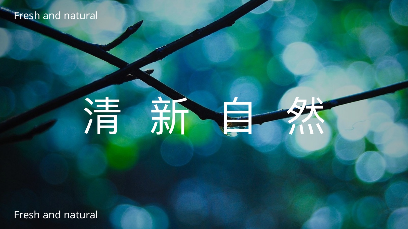 清新自然植物光影PPT模板