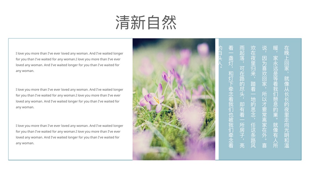 清新自然植物光影PPT模板