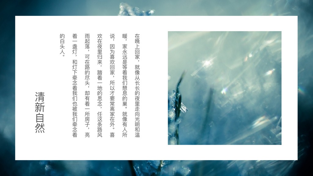 清新自然植物光影PPT模板