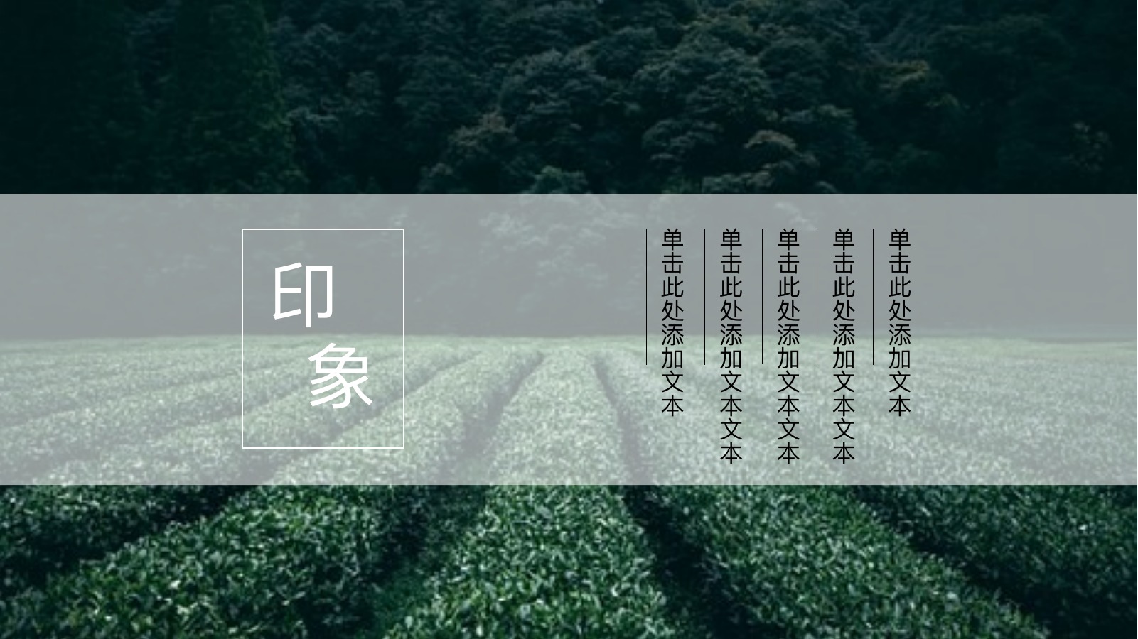 茶乡绿茶文化介绍PPT模板