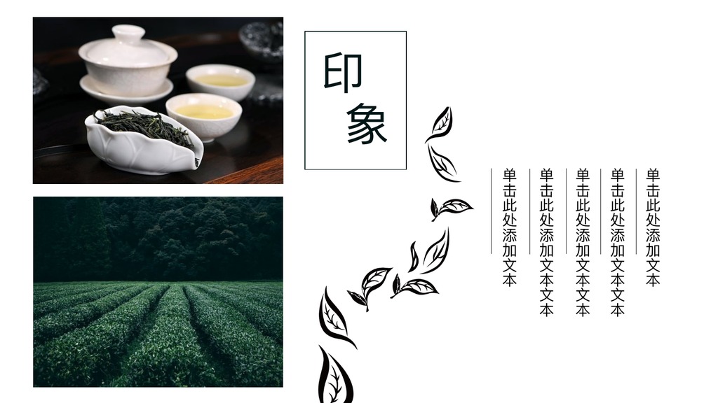 茶乡绿茶文化介绍PPT模板