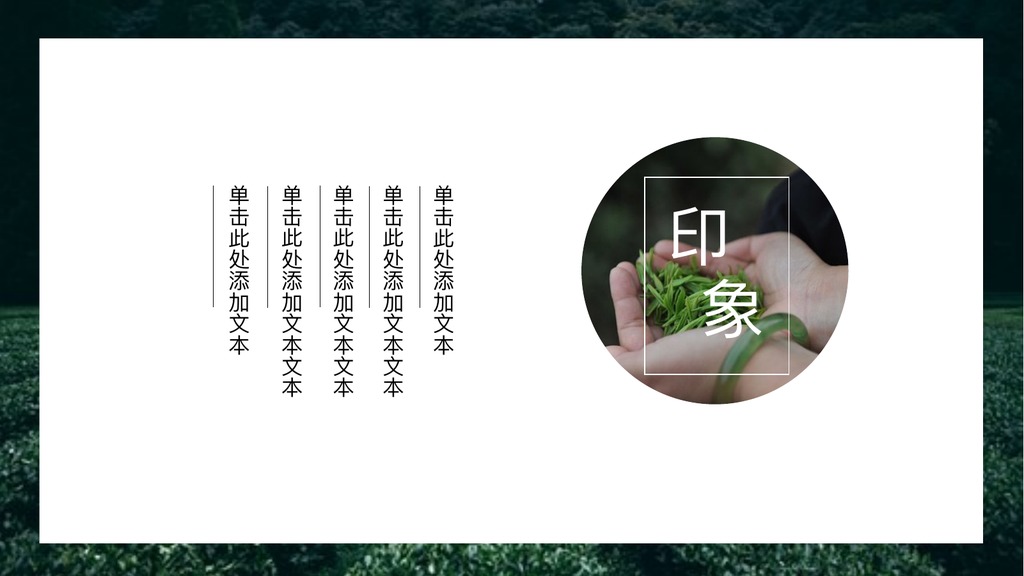 茶乡绿茶文化介绍PPT模板