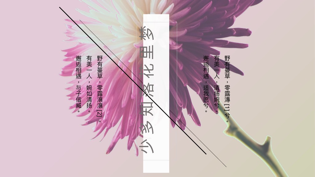 梦里花落粉紫花卉PPT模板