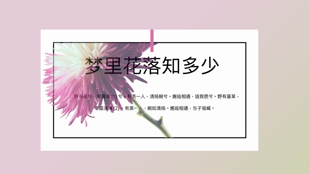 梦里花落粉紫花卉PPT模板