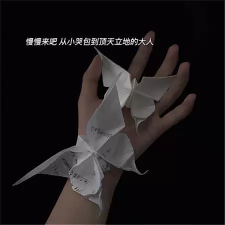 img_6a4c5343c7e9833.webp