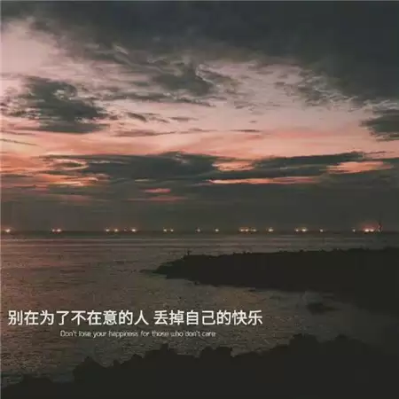 img_6a4c54a5f363534.webp
