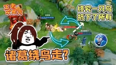 img_6a4c685b5607d31.webp