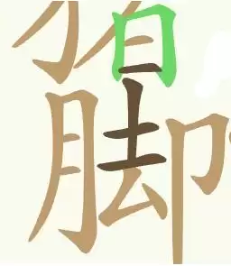 img_6a4c84b26575733.webp