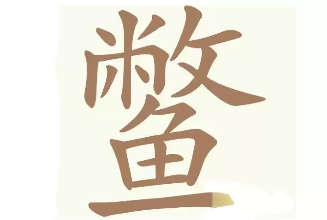 img_6a4c84edeb13c31.webp