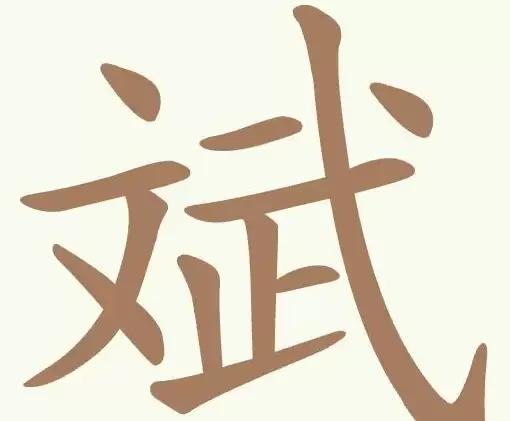img_6a4c861fe7a2731.webp