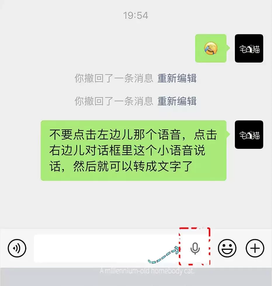img_6a4d94d368d42315.webp