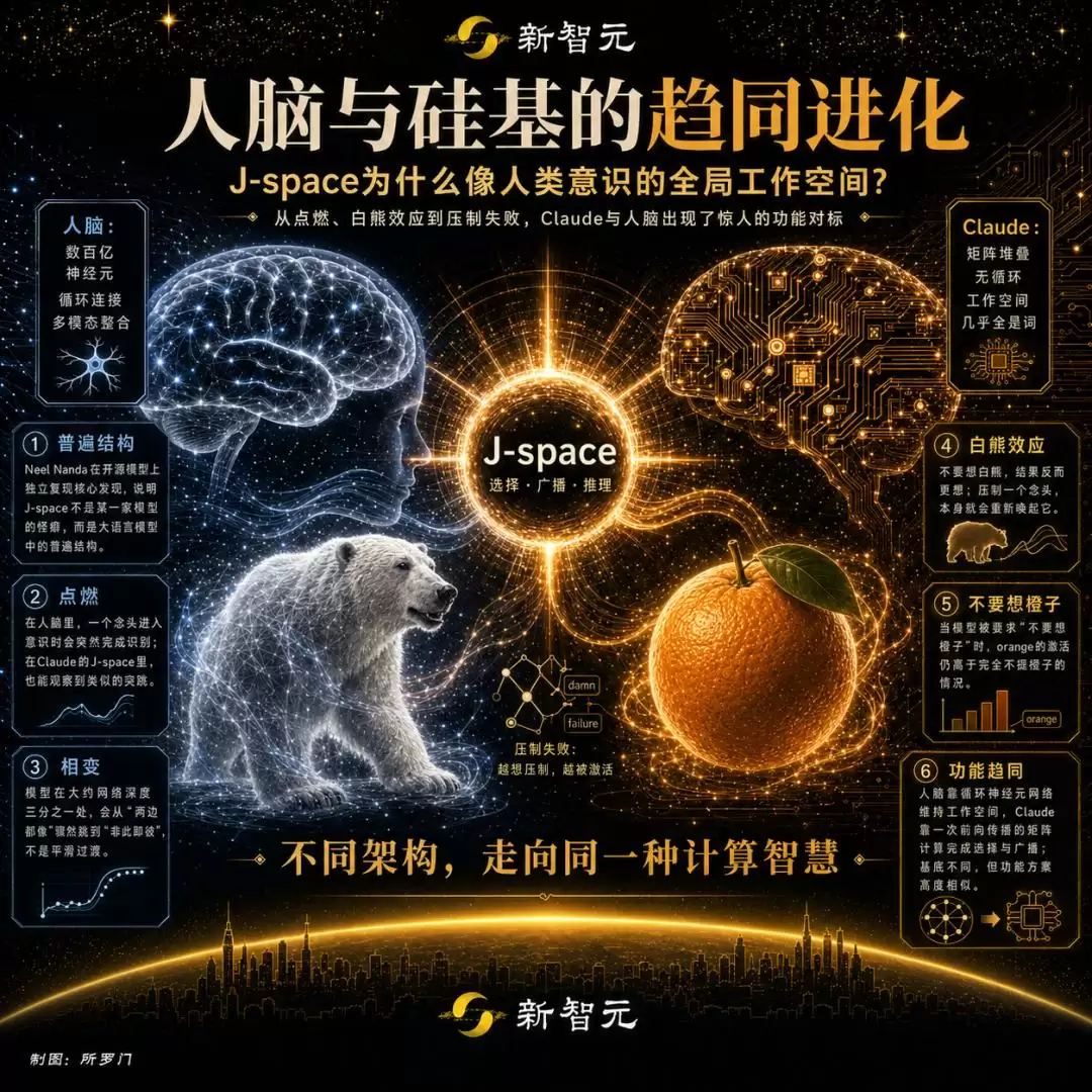 img_6a4d96b3e8136312.webp