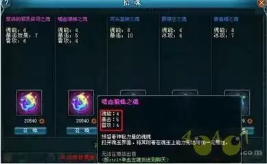 img_6a4db5e14155032.webp